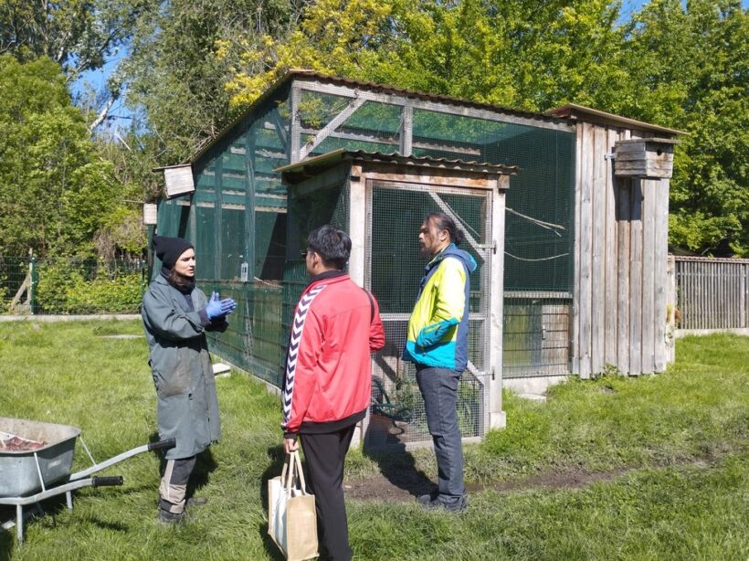 Exkurze v chovném centru na orlosupy bradaté v Haringsee_foto Jan Hanel