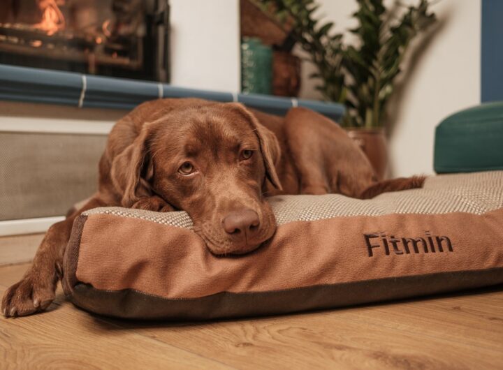 Fitmin