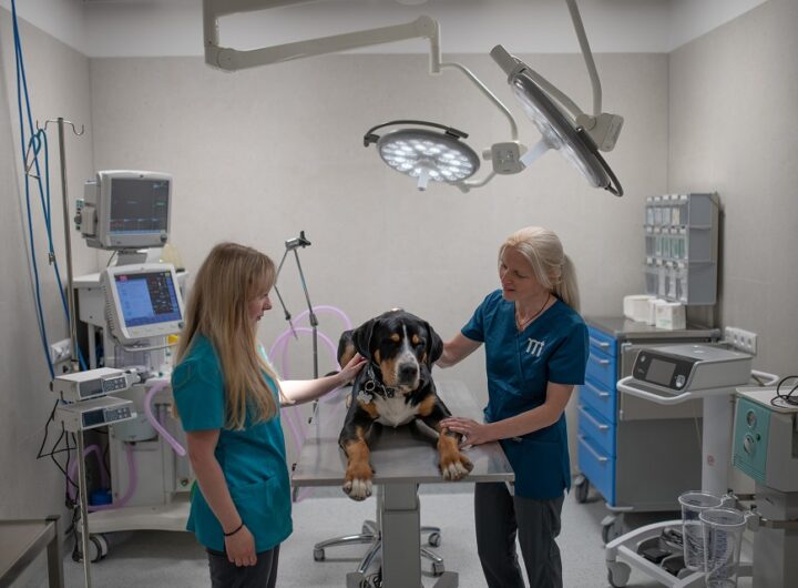veterinární klinika