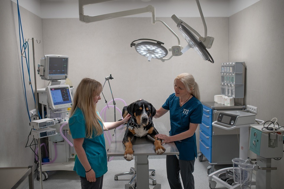 veterinární klinika