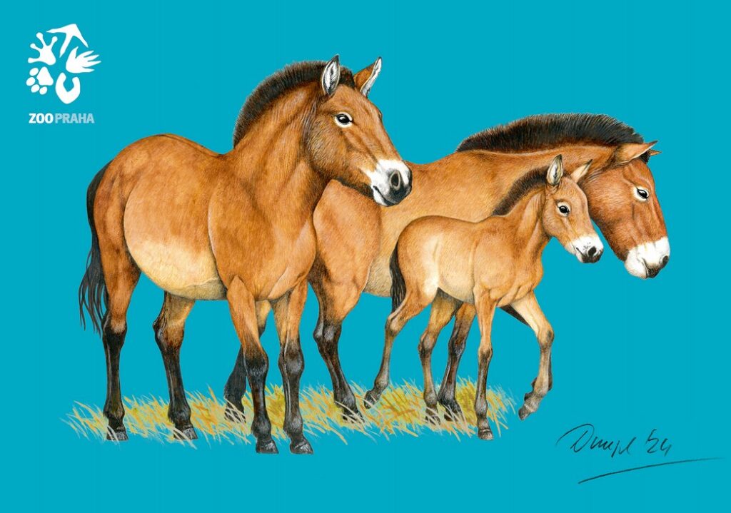 Pohlednice z Kazachstánu