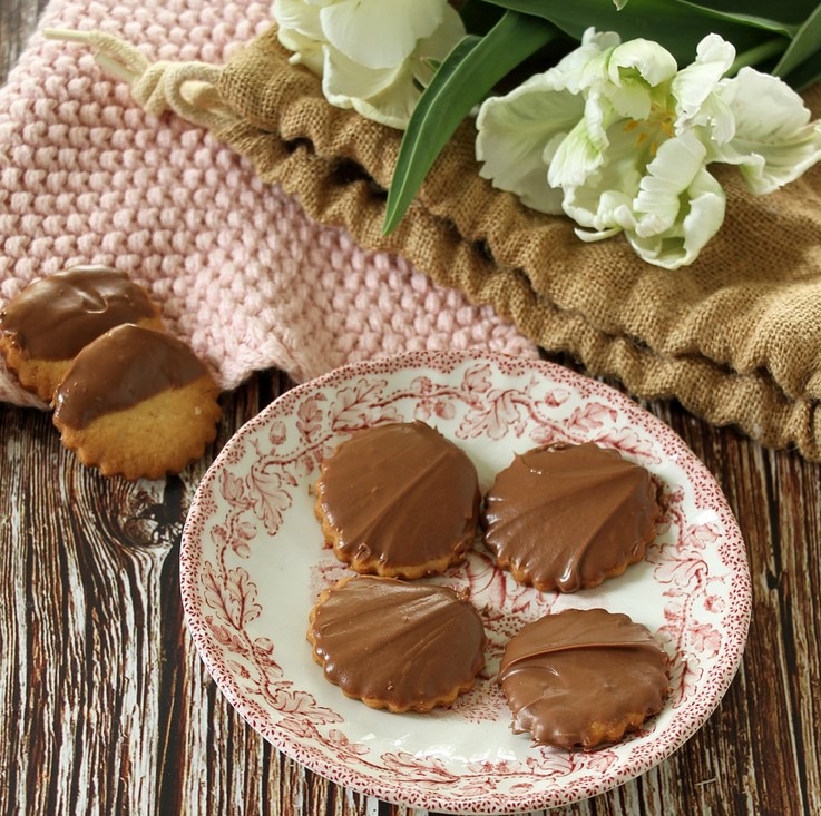 Polomáčené sušenky