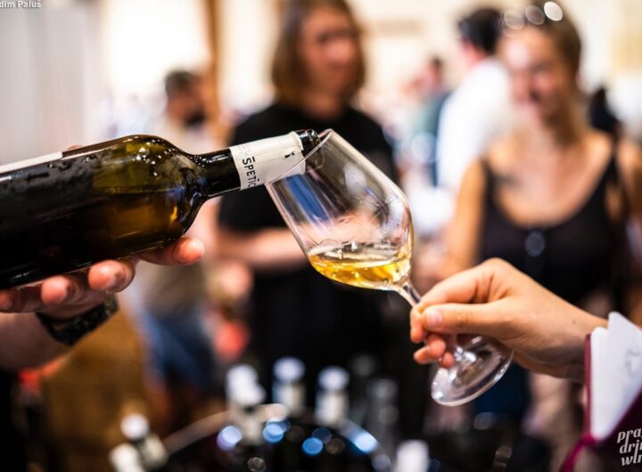 Praha pije víno 2024