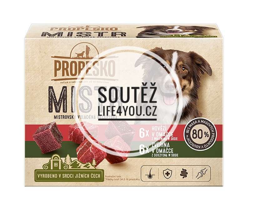 PROPESKO MISTR, Soutěž