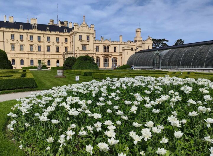 Zámek Lednice, Víno,Jarní výlet