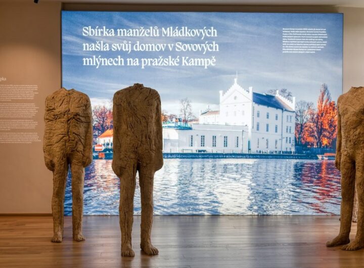 Zámek Rosice, Meda Mládková