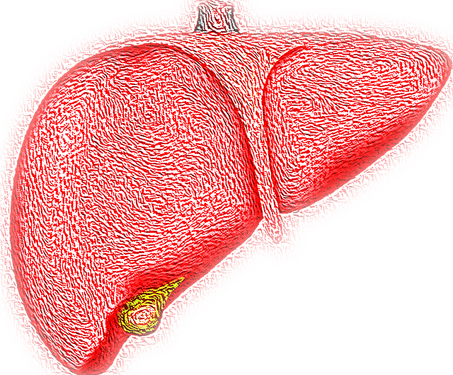 Žloutenka, ilustrační foto