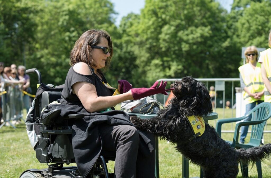 organizace Helppes, Mistrovství ČR ve výkonu asistenčních a vodících psů