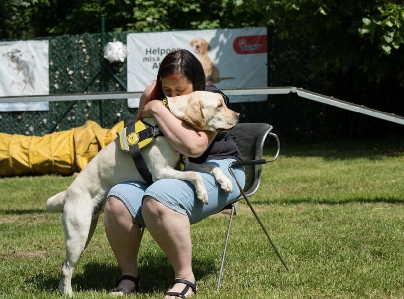 Mistrovství ČR ve výkonu asistenčních a vodících psů