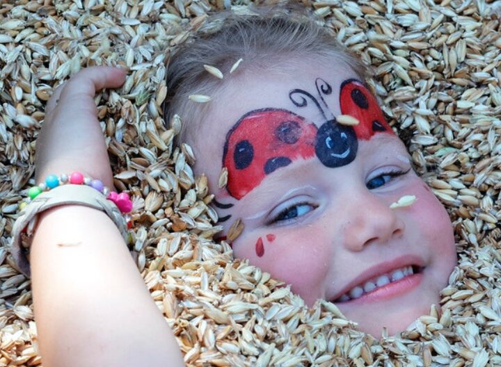 Bioslavnosti ve Starém Městě letos v duchu bio street food