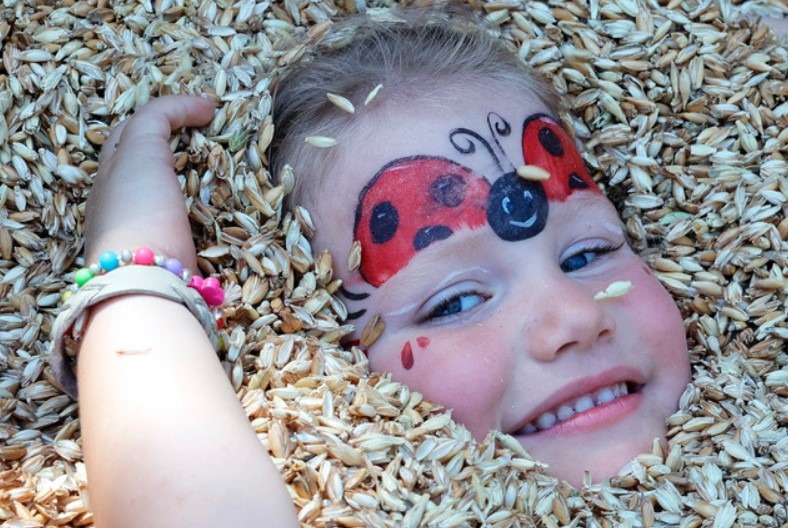 Bioslavnosti ve Starém Městě letos v duchu bio street food