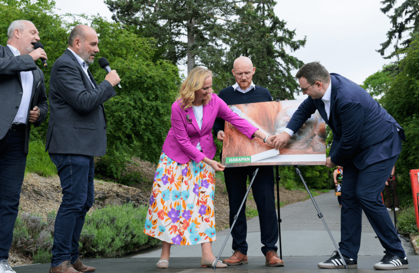 Sameček orangutana, Troja, Zoo Praha