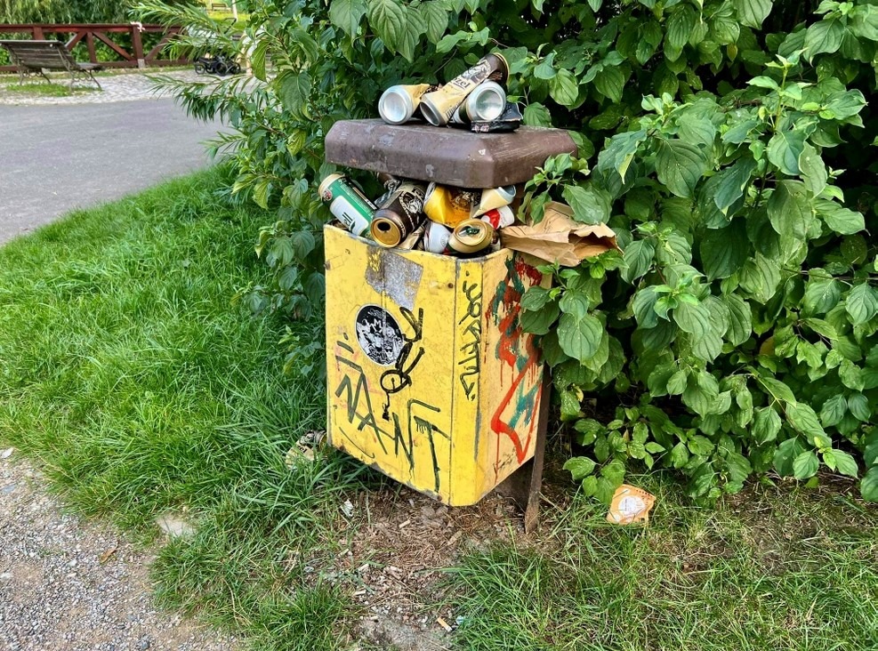 Bezohledné chování v parcích