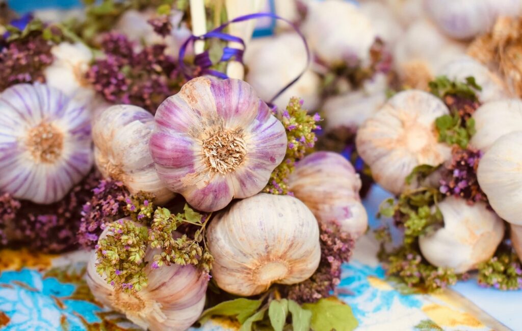 Česnek jako lék nejen proti upírům