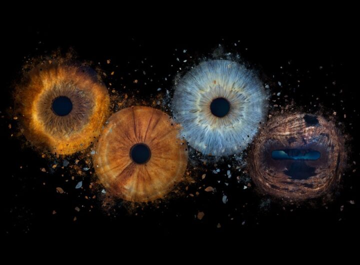HUMAN EYE