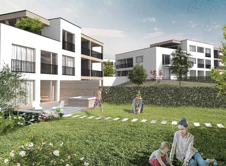 Zdravé bydlení, Rigips Trophy