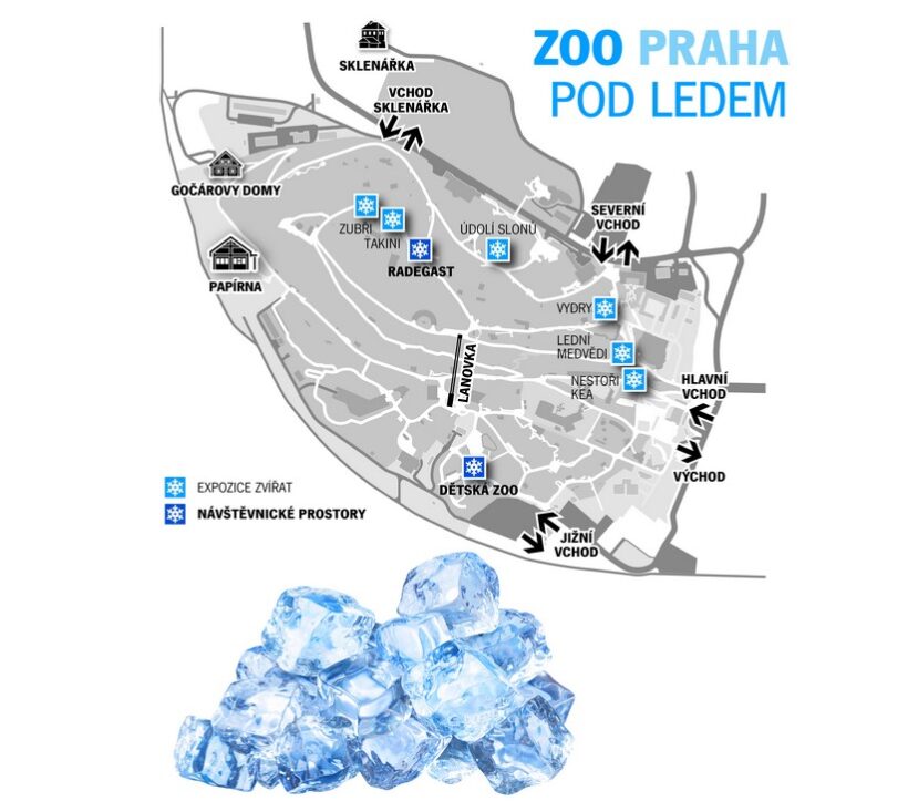 Zoo Praha, led, 