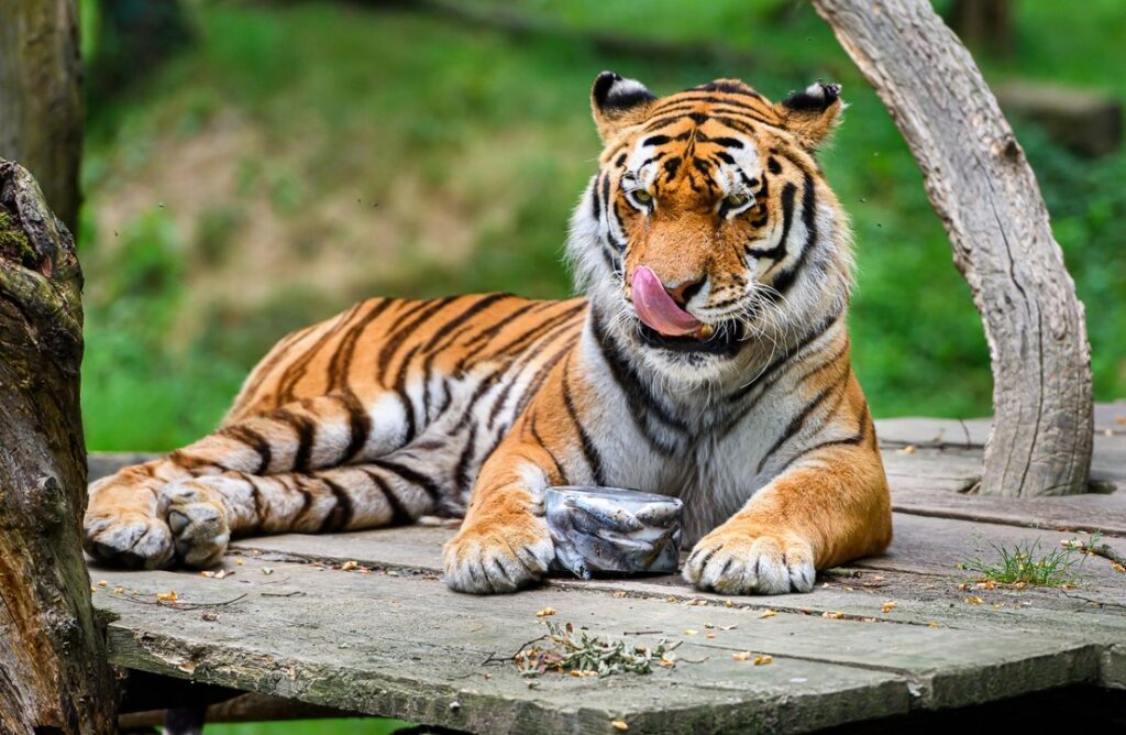 Zoo Zlín