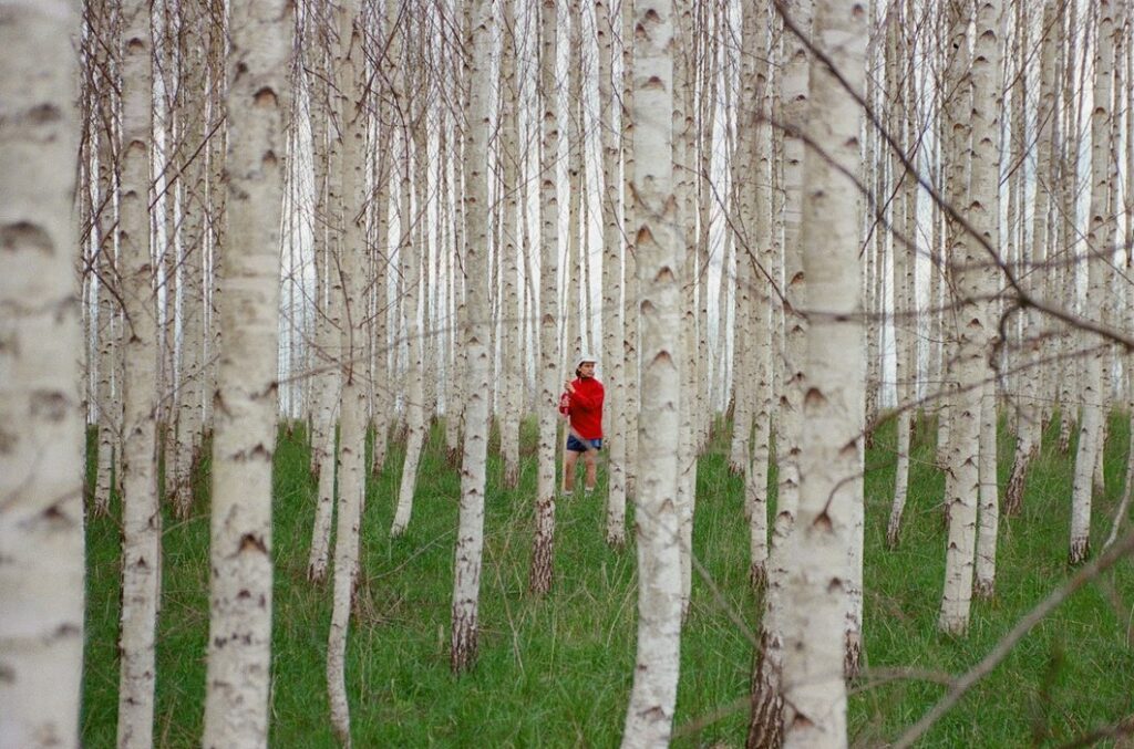 Carnival Youth , kultura