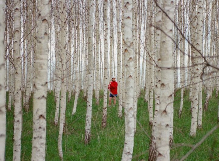 Carnival Youth , kultura