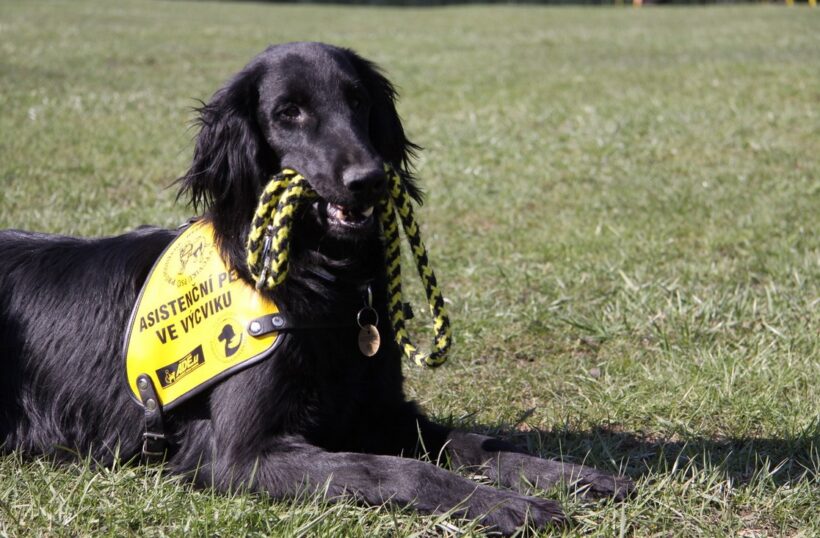 Celosvětová kampaň #LifeChangers