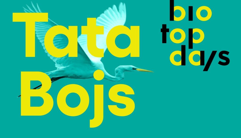 Festival Biotopdays, Tata Bojs , film, kultura, koncert