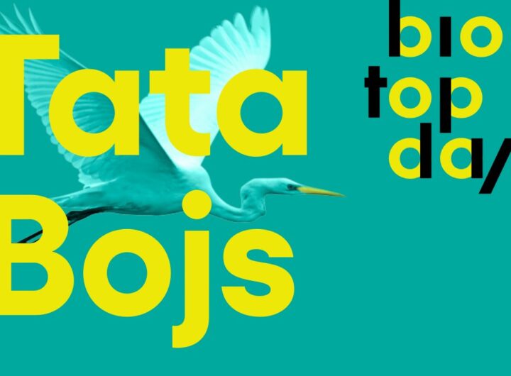 Festival Biotopdays, Tata Bojs , film, kultura, koncert