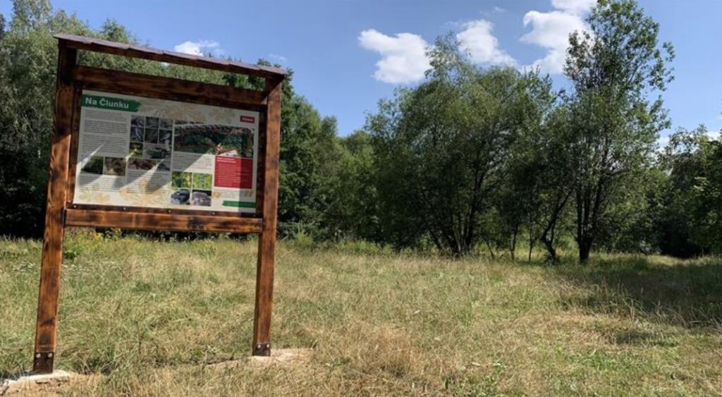 Malý, ale rozmanitý kousek přírody ve městě