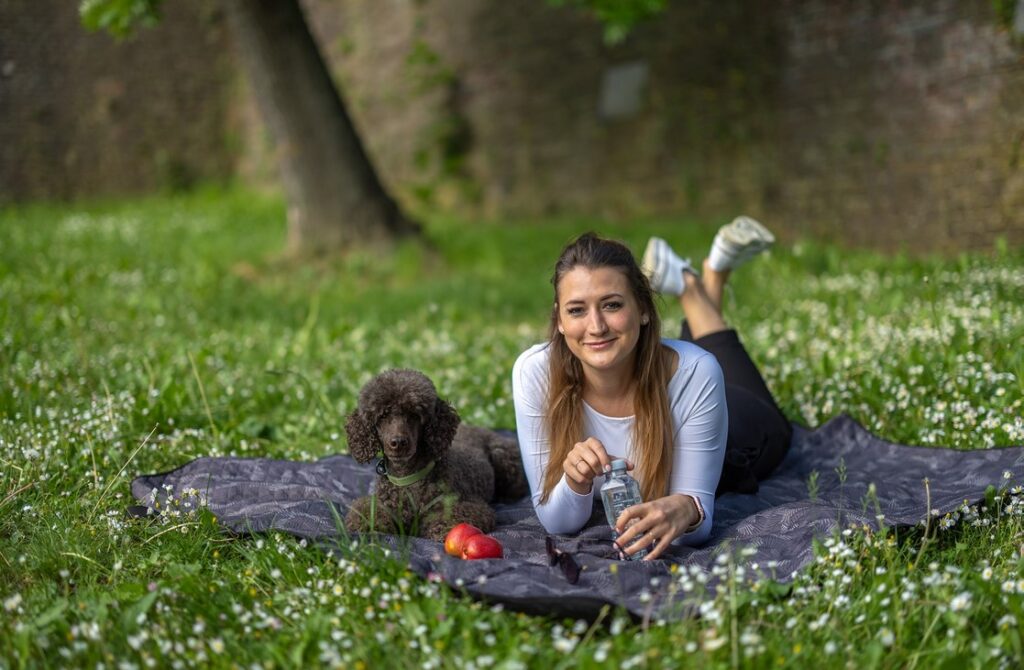 Klíšťová encefalitida