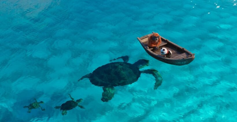 Medvídek panda v Africe