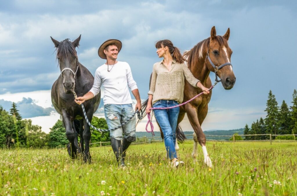 Užijte si léto na Vysočině v koňském sedle