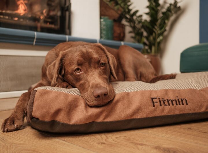 Fitmin