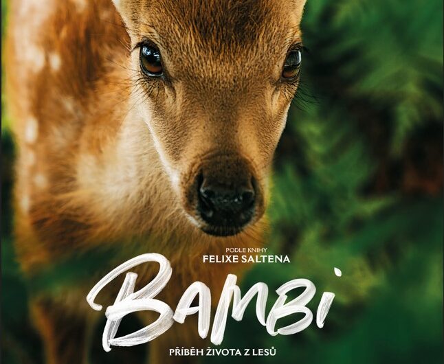 Bambi