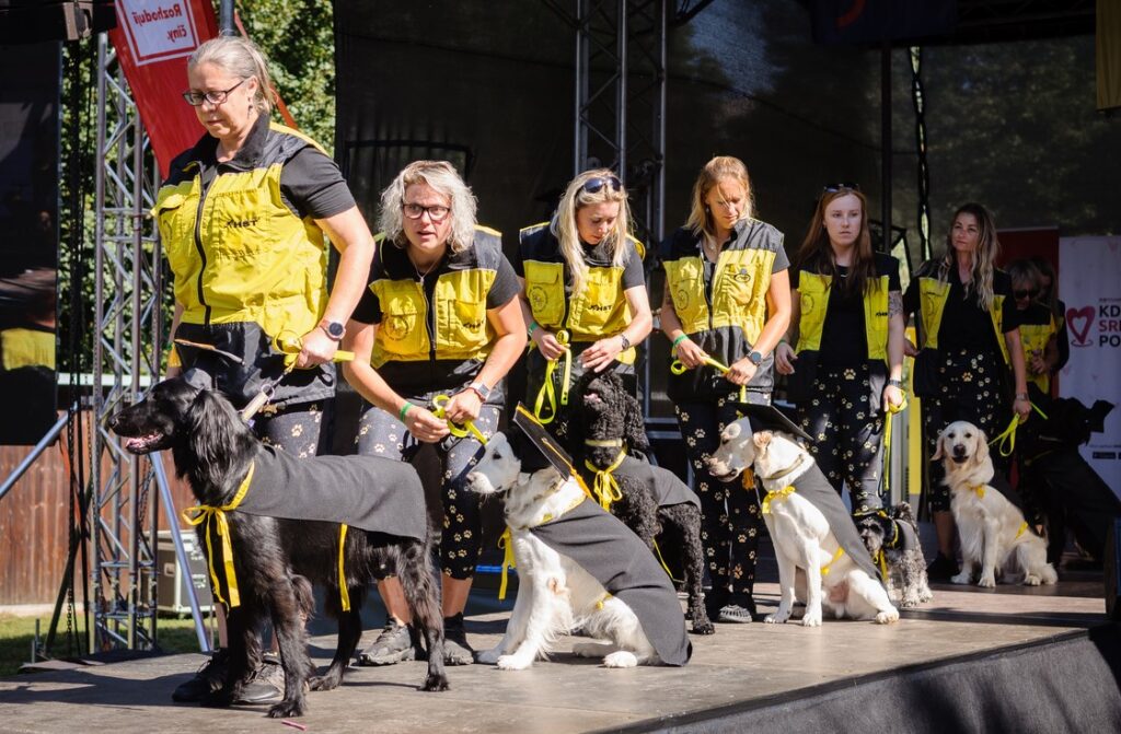 Helppes - SUPER DEN 2024