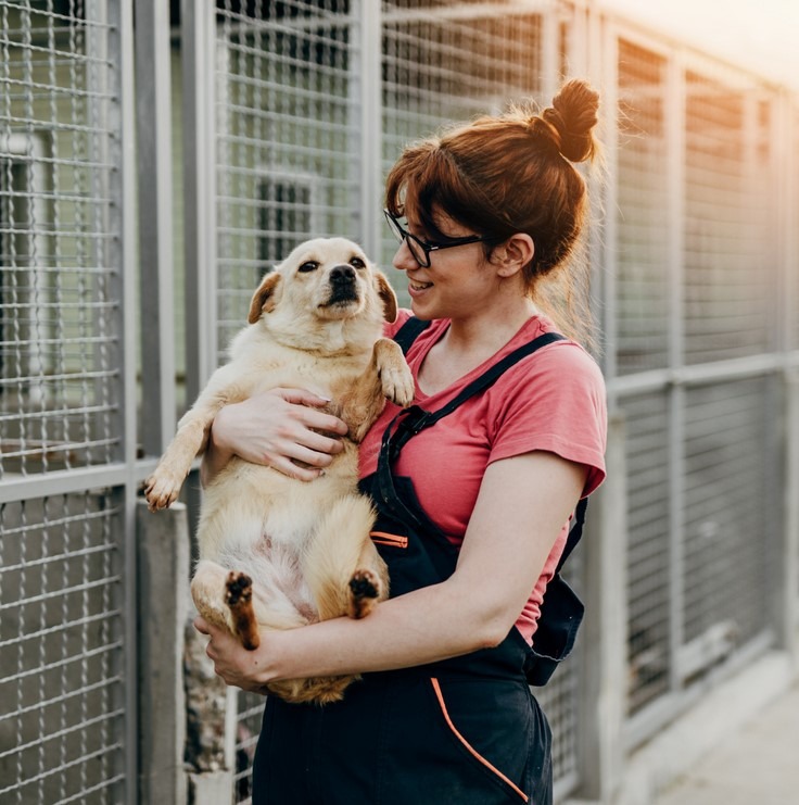 Mezinárodní den zvířat