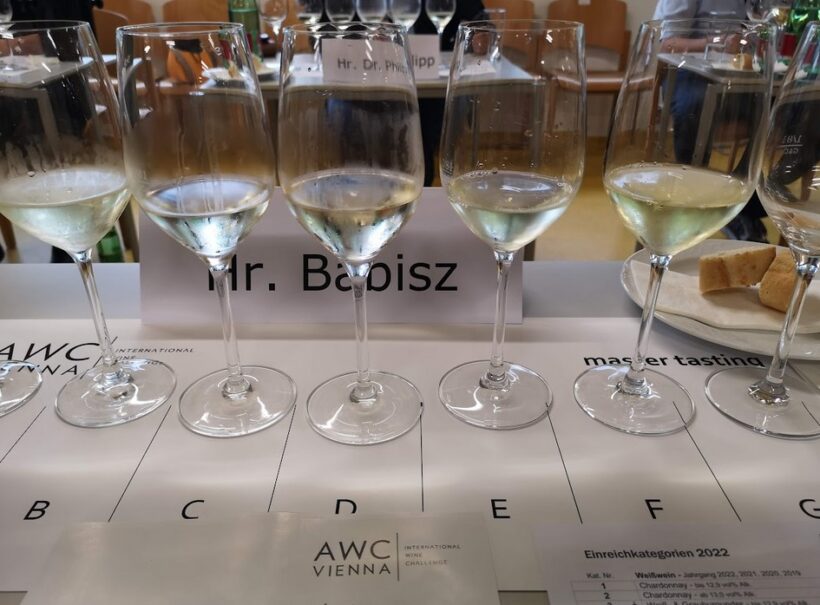 Moravští a čeští vinaři