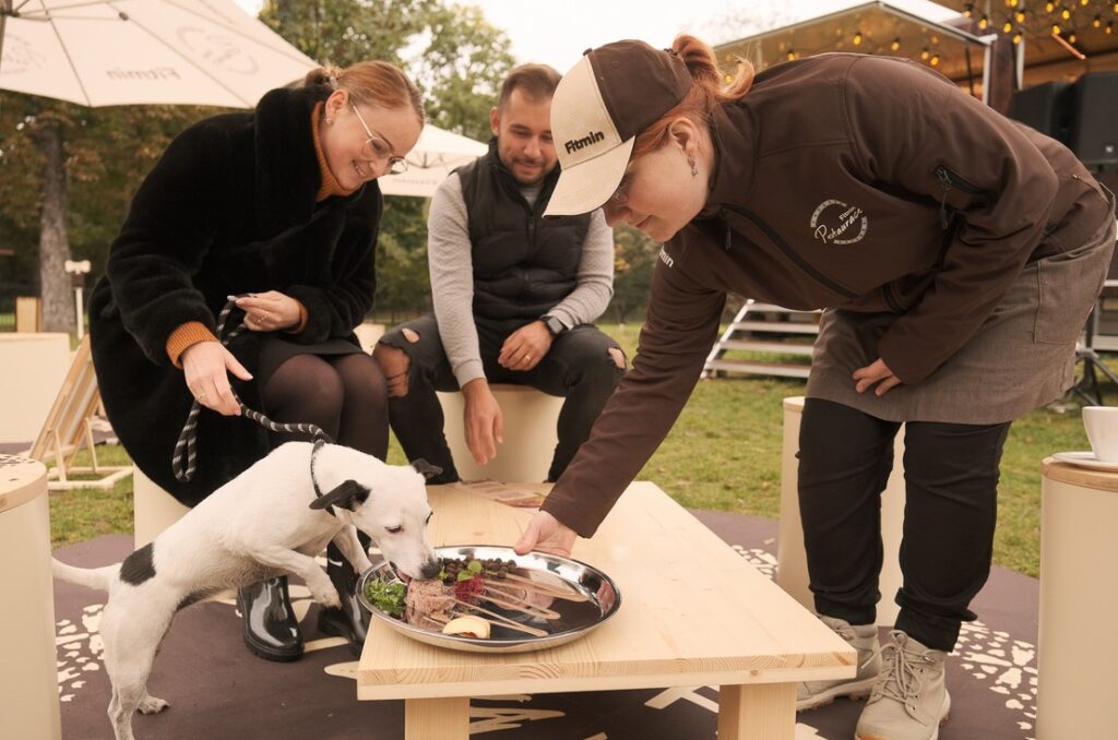 PSÍ POP UP Dogs & Friends