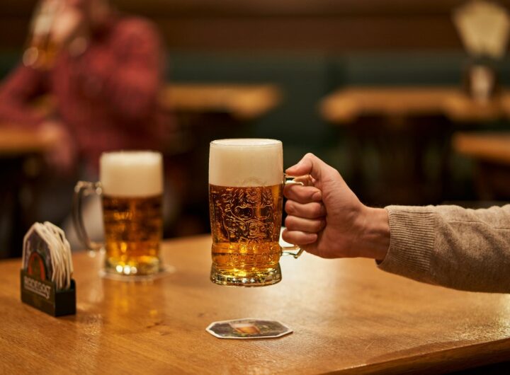 Radegast Ryze Hořká 12, Radegast, pivo, pivovar,