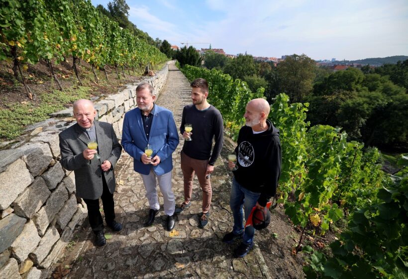 Vinobraní na Grébovce