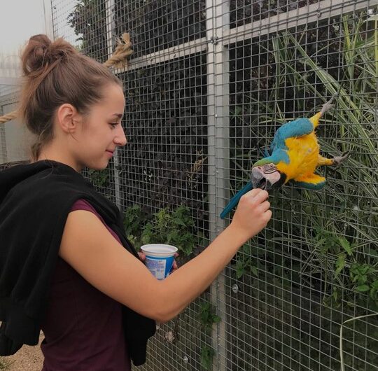 Zoo Tábor, Nechte se probudit zvuky exotických zvířat