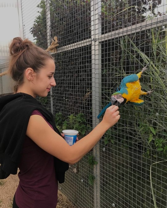 Zoo Tábor, Nechte se probudit zvuky exotických zvířat