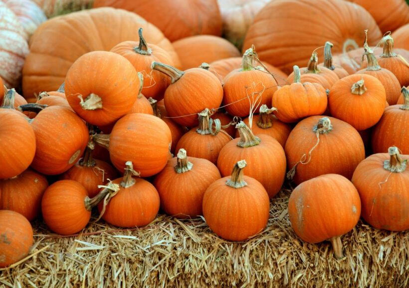 Dušičky,  BILLA, květiny, věnce, řezané květiny, Halloweenem