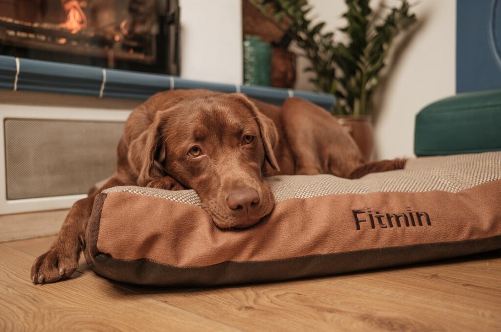 Fitmin