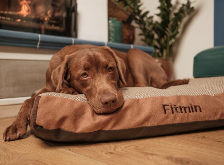 Fitmin