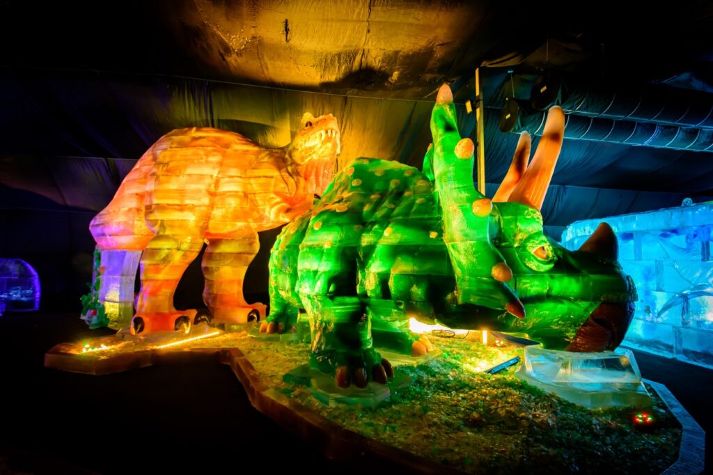 ICE-MAGIC-1, soutěž