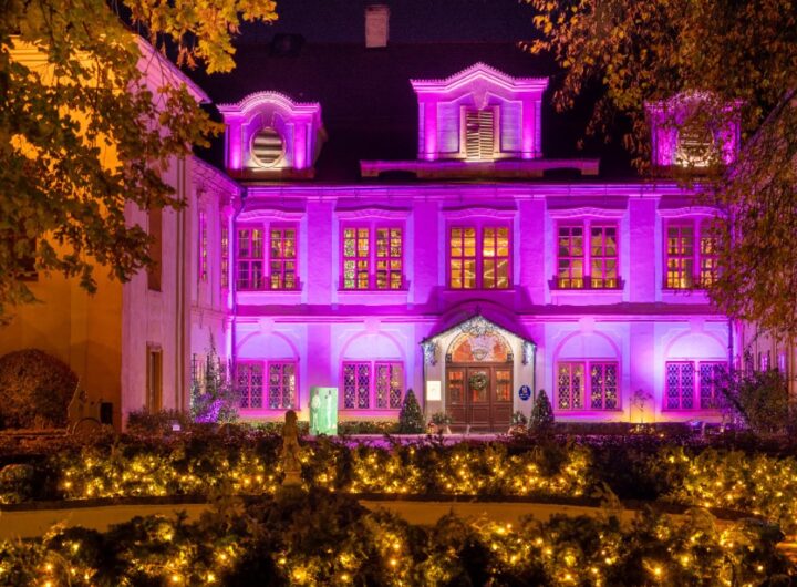 Loučeň & Příběh vánočního stromečku