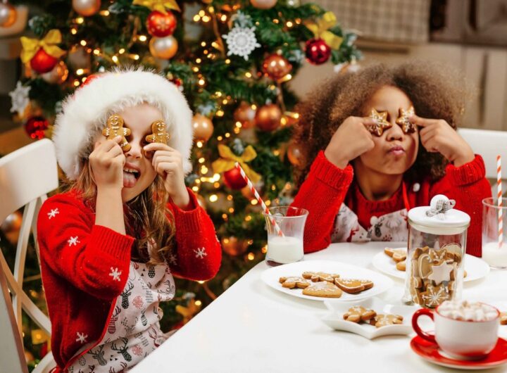 Vánoc, Perníčky Dr. Oetker, Sněhové vločky Dr. Oetker, Vánočka Dr. Oetker, Perníkového věnce,