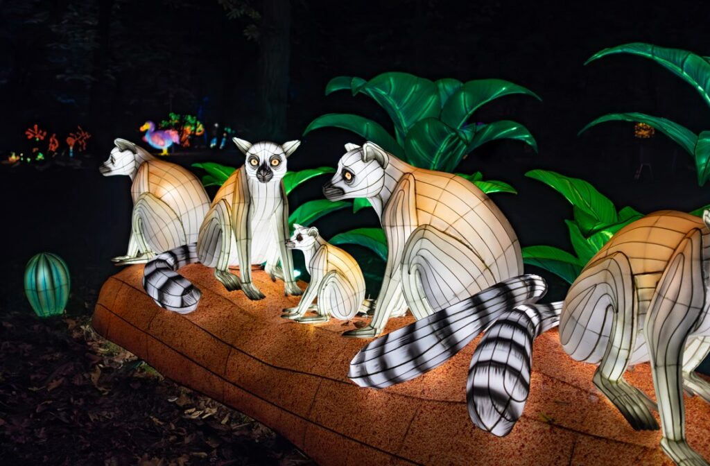 Světelná zoo poprvé v ČR, Světelná zoo poprvé v ČR , Zoo, Trója, Garden of Lights, Praha 8