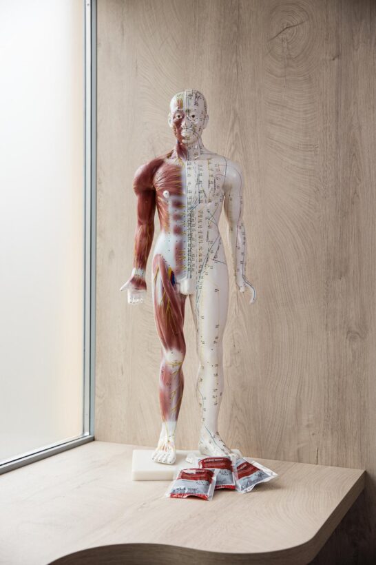 Tradiční čínská medicína