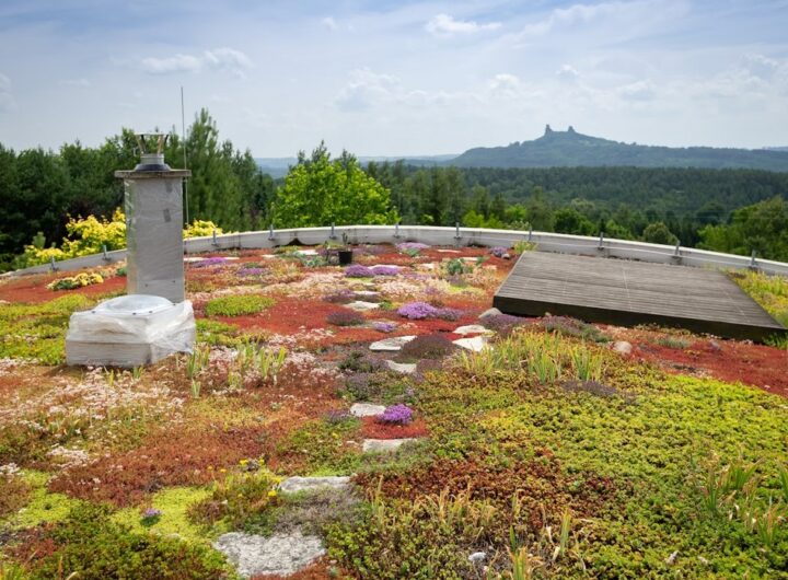 Zahrada Panorama